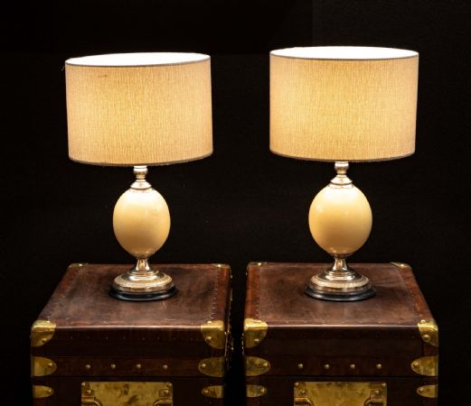 Pair of lamps with ostrich eggs
    